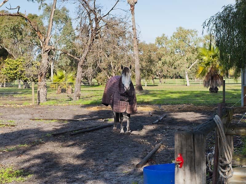 52 Jannali Road, Furnissdale WA 6209