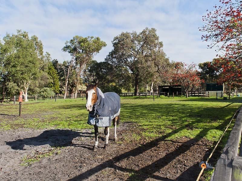 52 Jannali Road, Furnissdale WA 6209