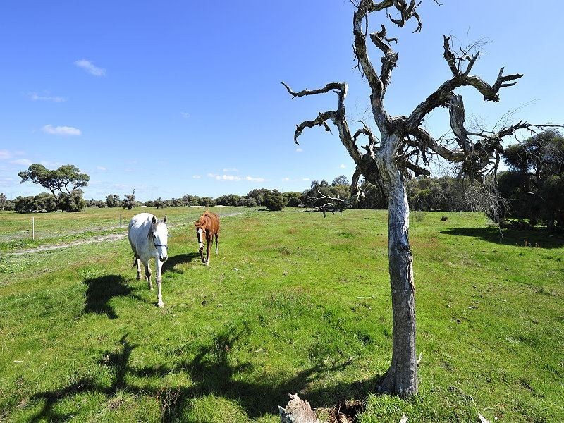 Lot 541 Lakes Road, Nambeelup WA 6207