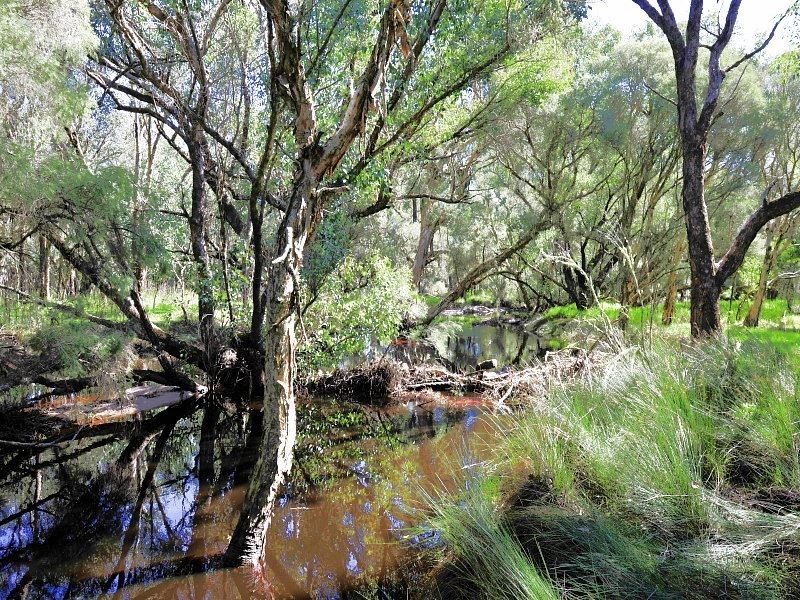 Lot 542 Lakes Road, Nambeelup WA 6207