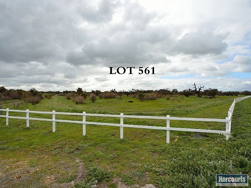 Lot 561 Dirk Hartog Drive, Nambeelup WA 6207