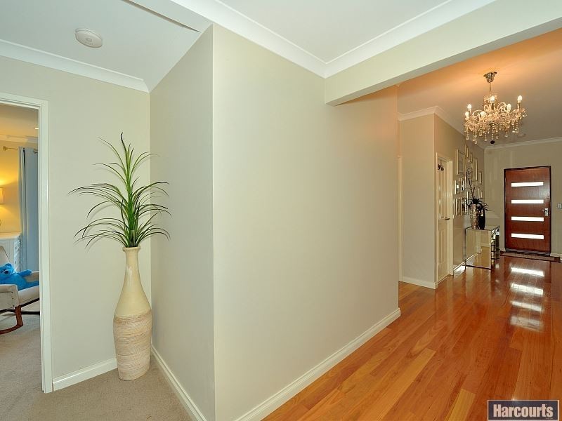 14 Pictum Way, Halls Head WA 6210