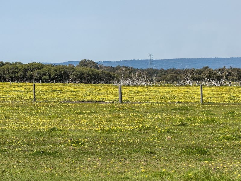 Lot 20 Coles Road, Waroona WA 6215