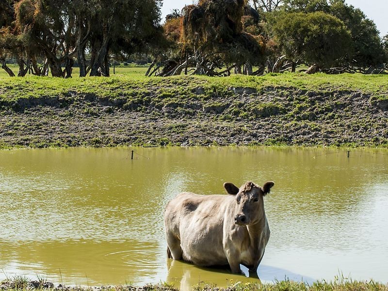 Lot 20 Coles Road, Waroona WA 6215