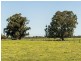 Lot 20 Coles Road, Waroona WA 6215