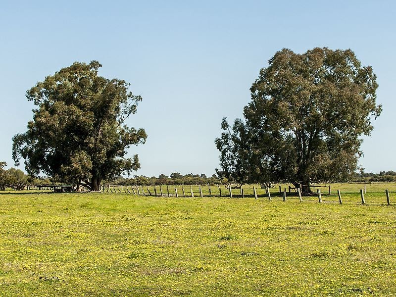 Lot 20 Coles Road, Waroona WA 6215