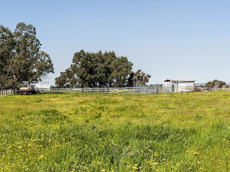 Lot 20 Coles Road, Waroona WA 6215