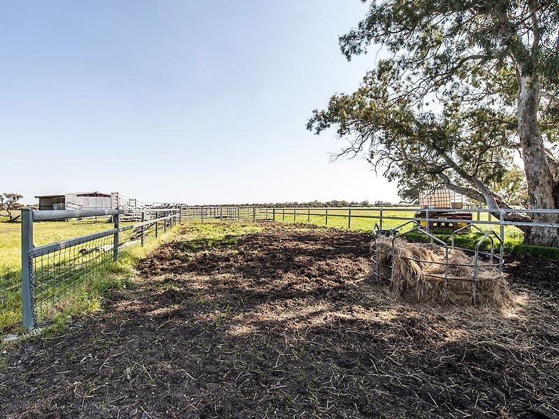 Lot 20 Coles Road, Waroona WA 6215