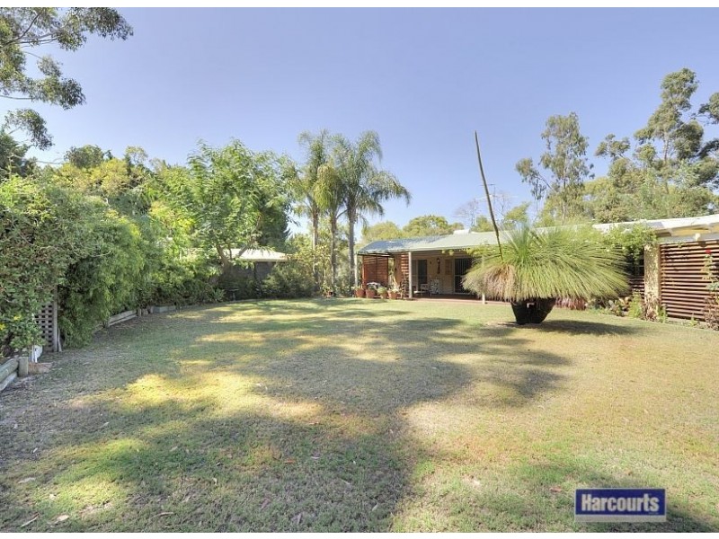 31 Nutbush Avenue, Falcon WA 6210