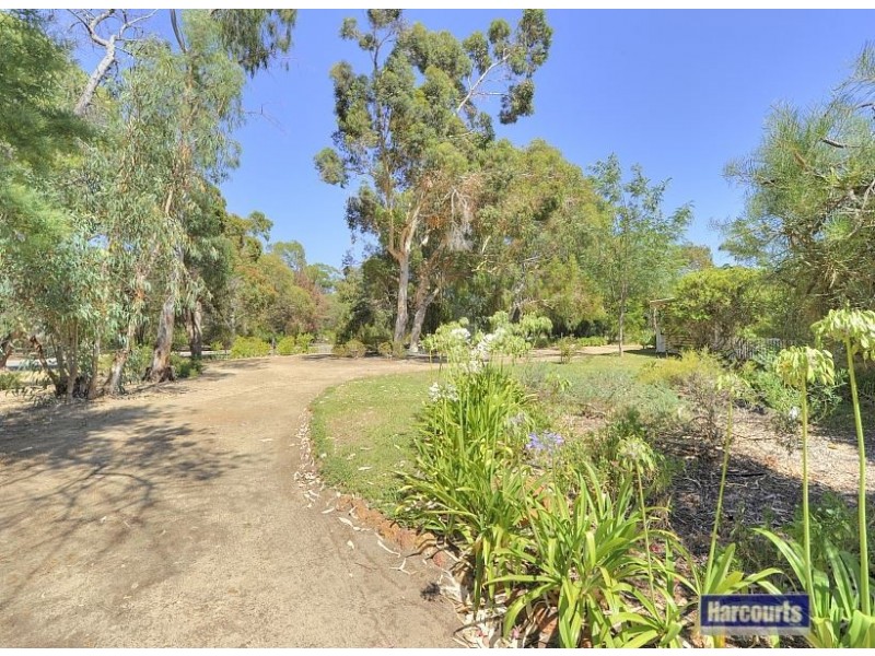 31 Nutbush Avenue, Falcon WA 6210