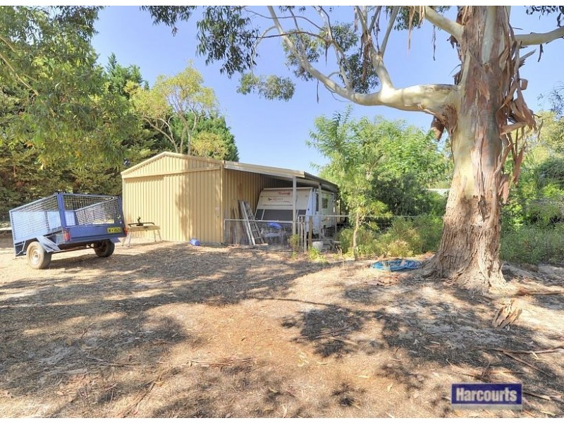 31 Nutbush Avenue, Falcon WA 6210