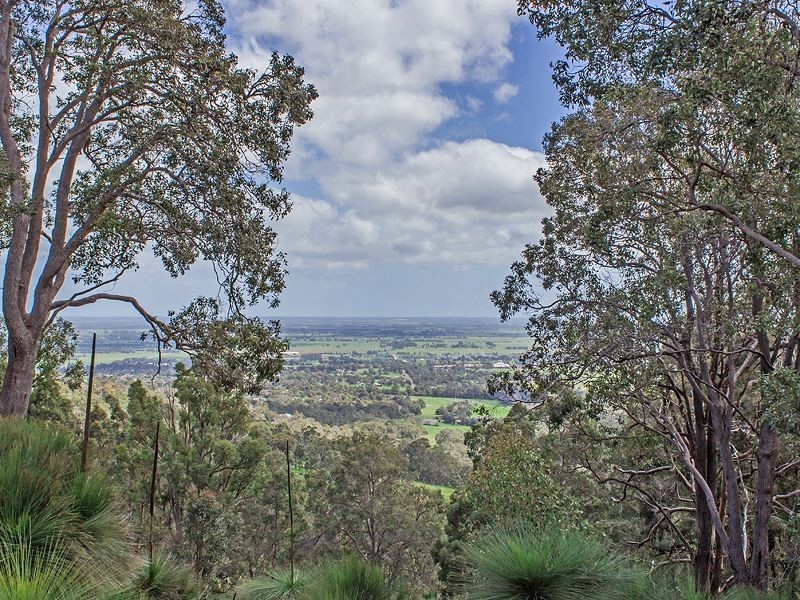 54 Leavy Road, Waroona WA 6215