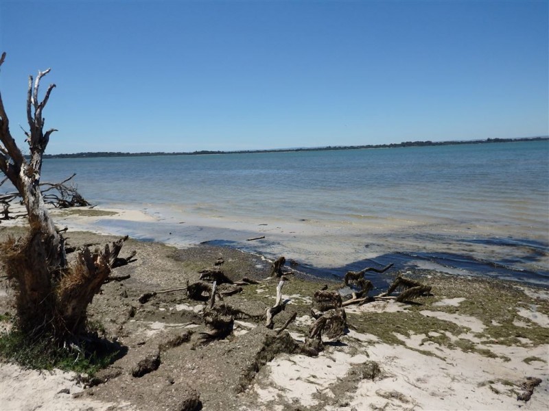 2 The Vista, Bouvard WA 6211