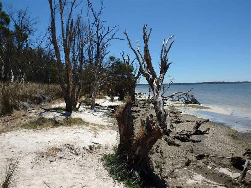 2 The Vista, Bouvard WA 6211