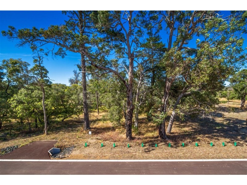Lot 507 Vasse River Estate, Bovell WA 6280