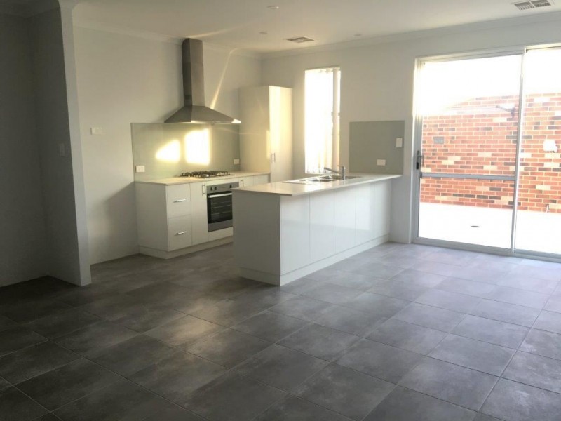 17 Venulosa Avenue, Halls Head WA 6210