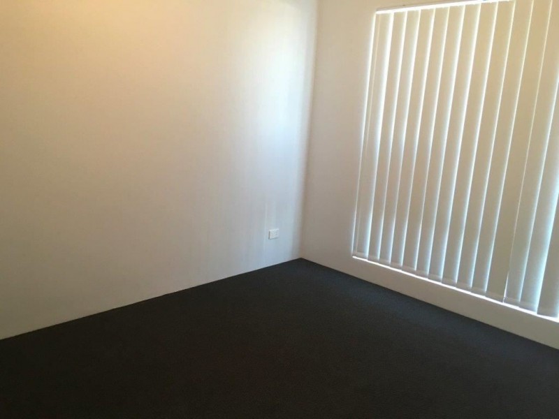 17 Venulosa Avenue, Halls Head WA 6210