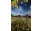 7 William Road, Coodanup WA 6210