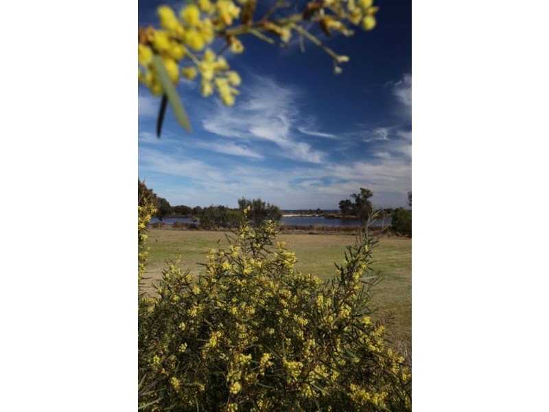 7 William Road, Coodanup WA 6210