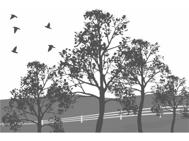 Lot 5 Franklin Drive, North Dandalup WA 6207