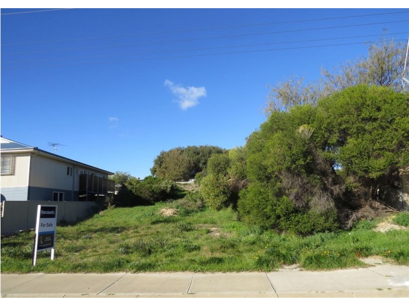 20 Murdoch Drive, Singleton WA 6175