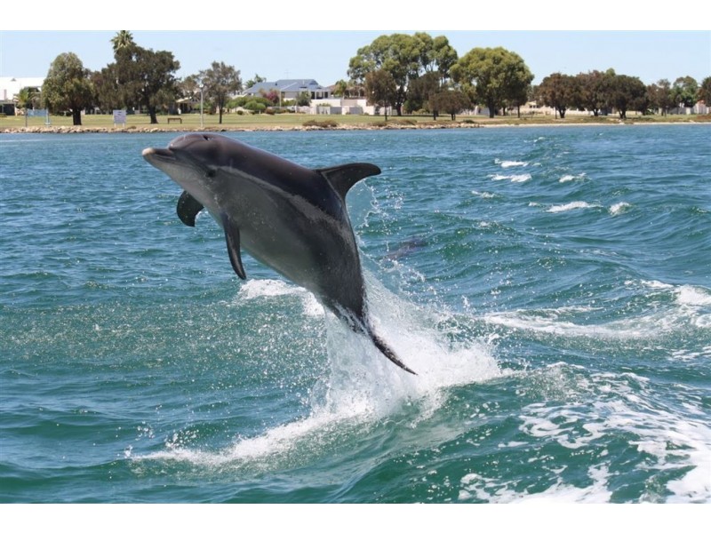 1/3 Galileo Loop, Mandurah WA 6210