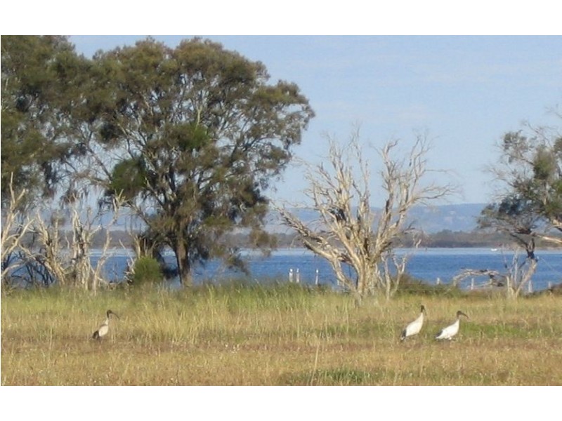 2417 Old Coast Road, Herron WA 6211