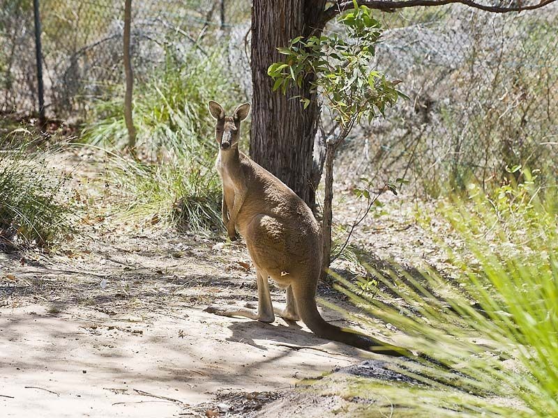 26 Lyons Road, Waroona WA 6215