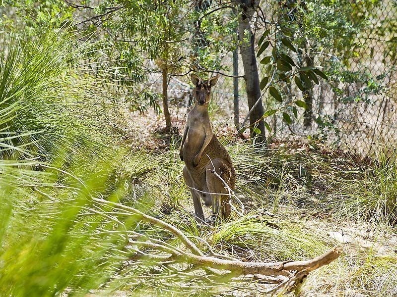 26 Lyons Road, Waroona WA 6215