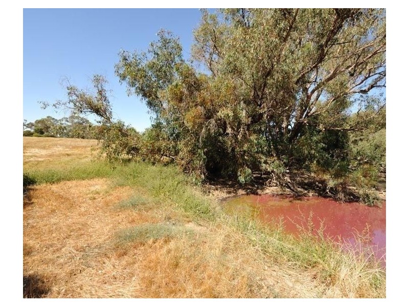 63 Thomasfield Place, Ravenswood WA 6208