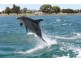 1/3 Galileo Loop, Mandurah WA 6210