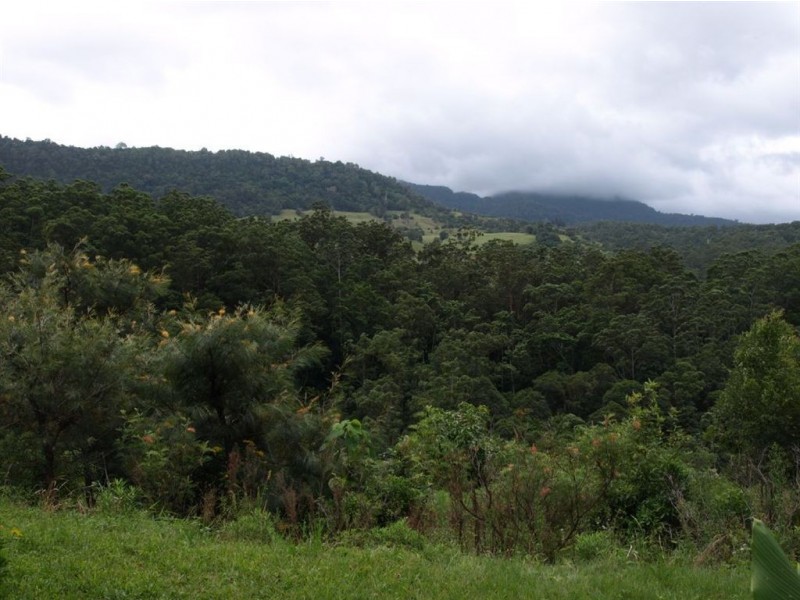 Hopkins Creek NSW 2484