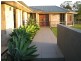 Nobbys Creek NSW 2484