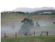 Nobbys Creek NSW 2484