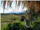 Nobbys Creek NSW 2484