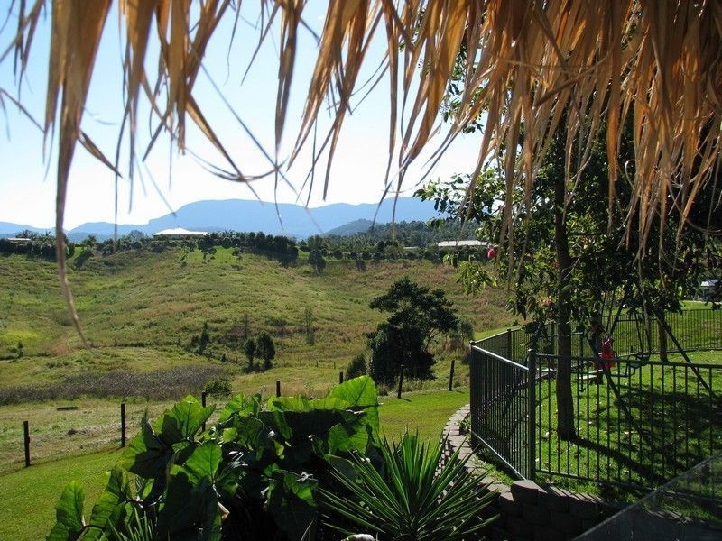 Nobbys Creek NSW 2484