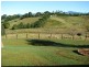 Nobbys Creek NSW 2484