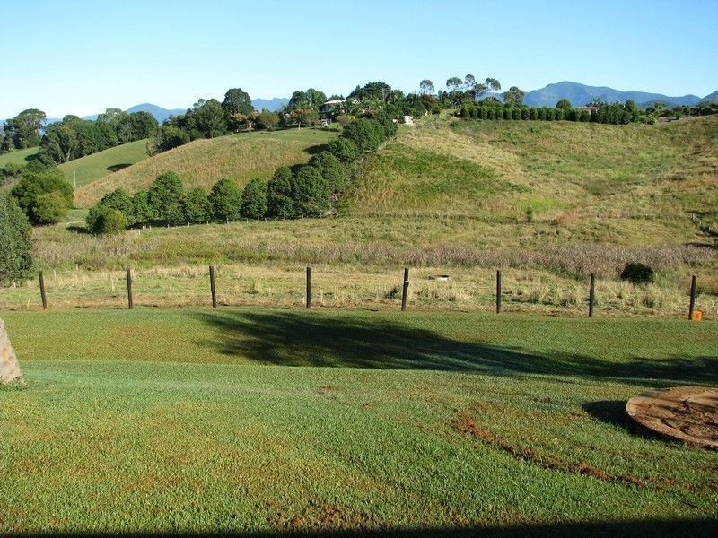 Nobbys Creek NSW 2484