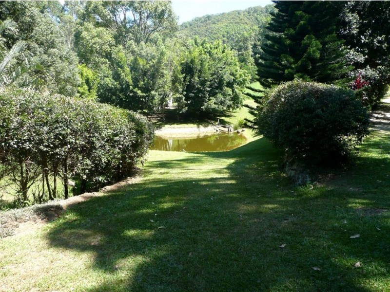 677 Hogans Road, North Tumbulgum NSW 2490