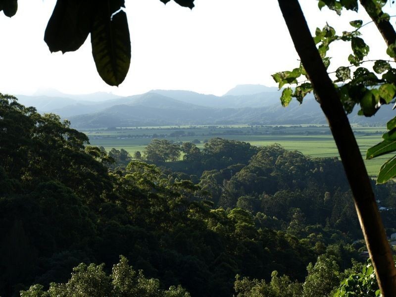 Lot 1 Clothiers Creek road, Nunderi NSW 2484