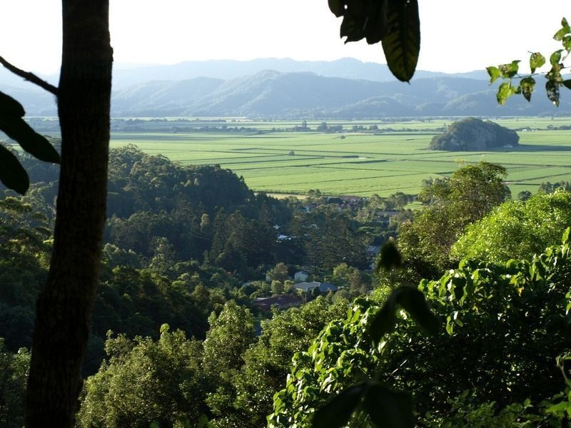 Lot 1 Clothiers Creek road, Nunderi NSW 2484