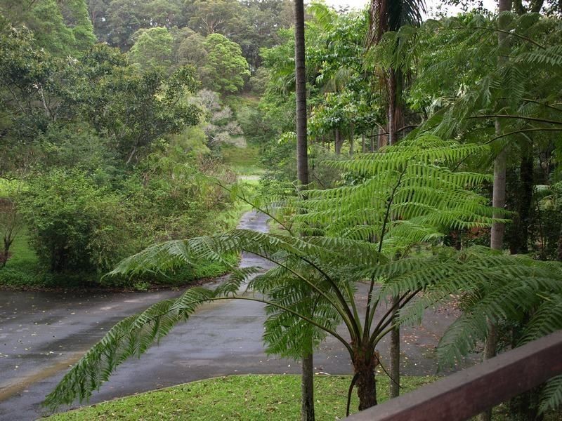 4/12 Tuckeroo Lane, Cabarita Beach NSW 2488