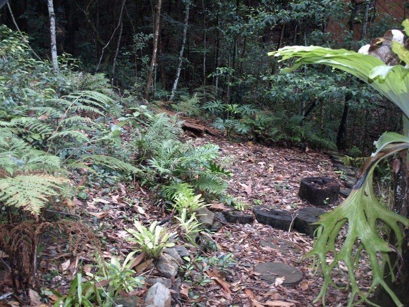 4/12 Tuckeroo Lane, Cabarita Beach NSW 2488