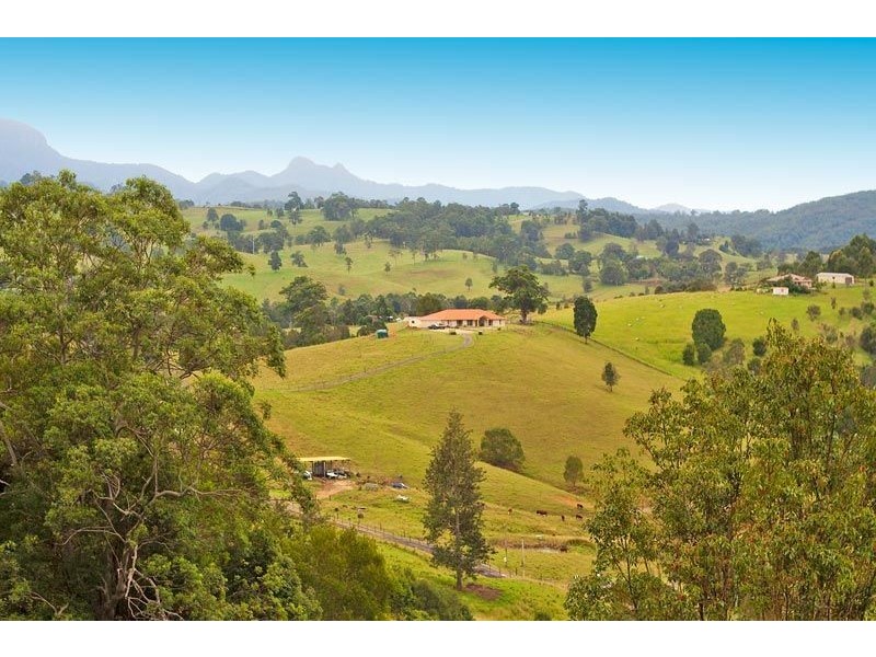 46 Possumwood Close, Tyalgum NSW 2484