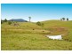 46 Possumwood Close, Tyalgum NSW 2484