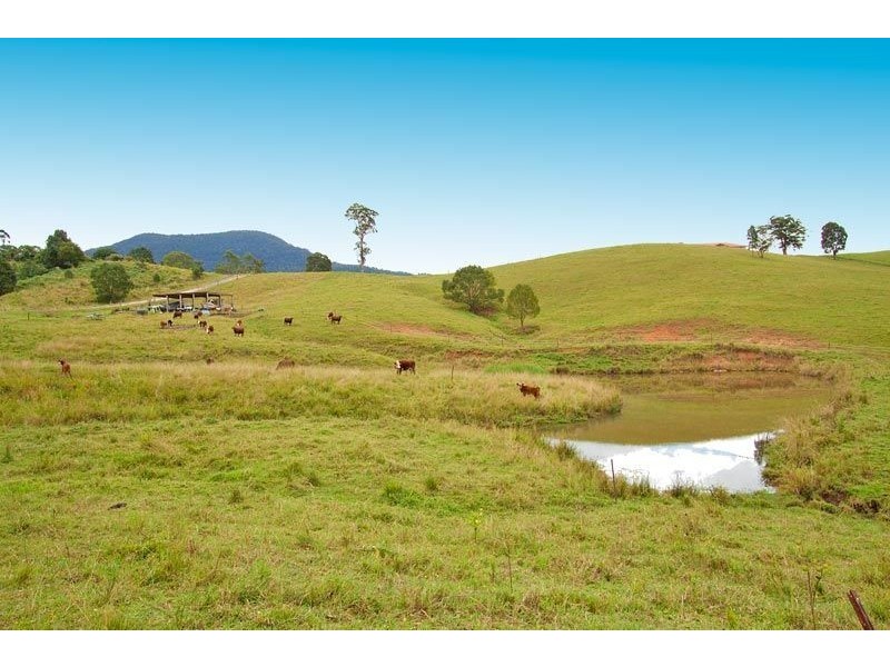 46 Possumwood Close, Tyalgum NSW 2484