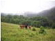 Lot 11 Jowetts Road, Upper Burringbar NSW 2483