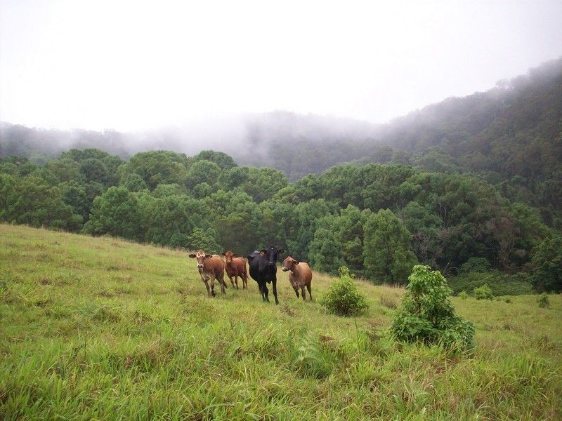 Lot 11 Jowetts Road, Upper Burringbar NSW 2483