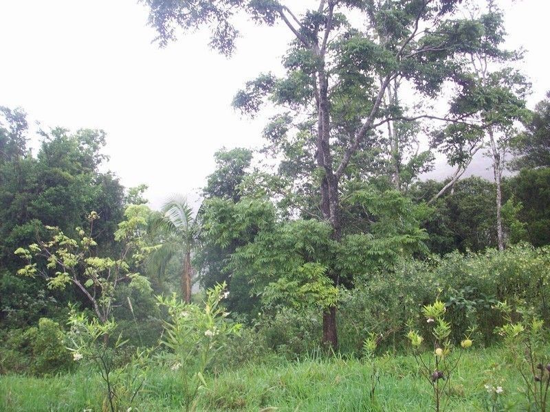 Lot 11 Jowetts Road, Upper Burringbar NSW 2483