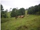 Lot 11 Jowetts Road, Upper Burringbar NSW 2483